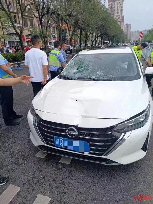 国产无马